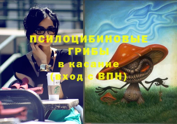 2c-b Алзамай