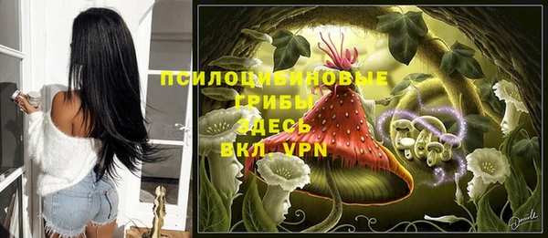 амф Абаза