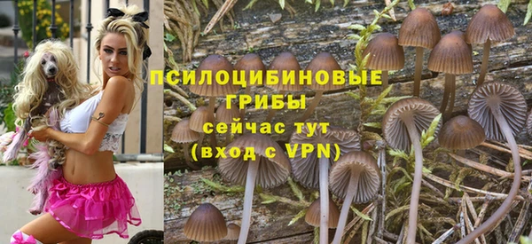 гидра Алексин
